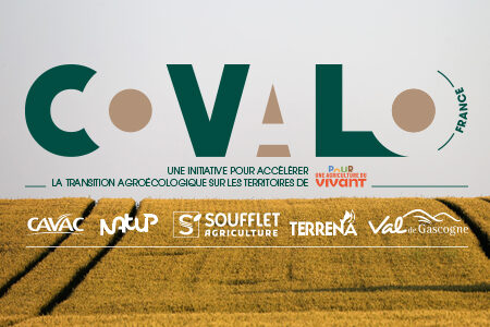 LOGO-COVALO